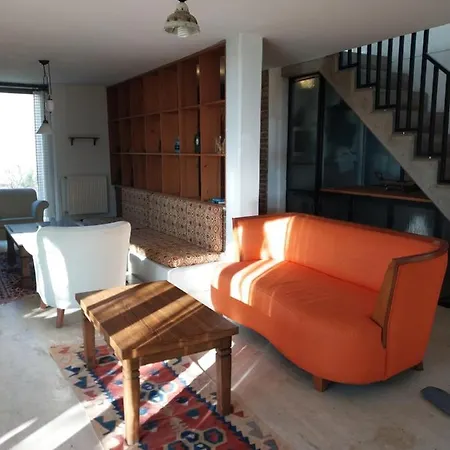 Tlos *
